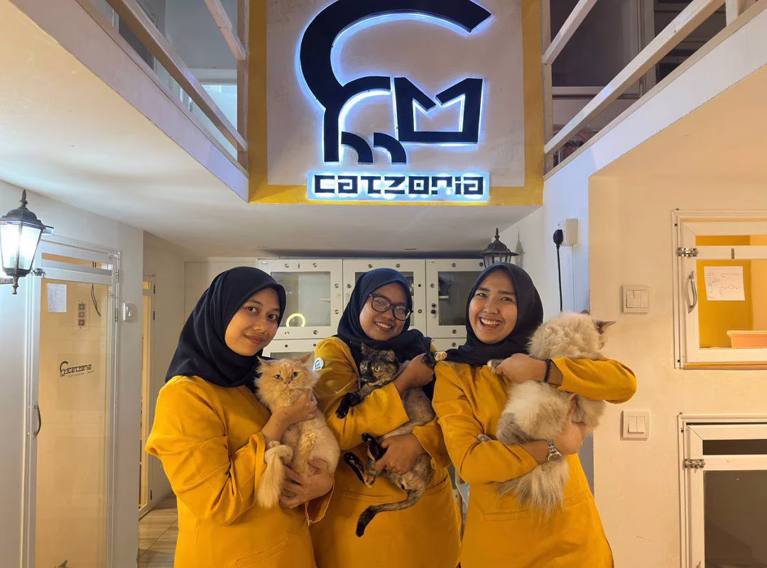 Catzonia Franchise