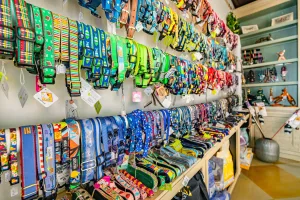 pet industry business insight
